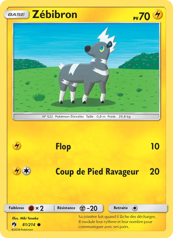 Scan HD carte Pokémon Zébibron 81/214 — Tonnerre Perdu