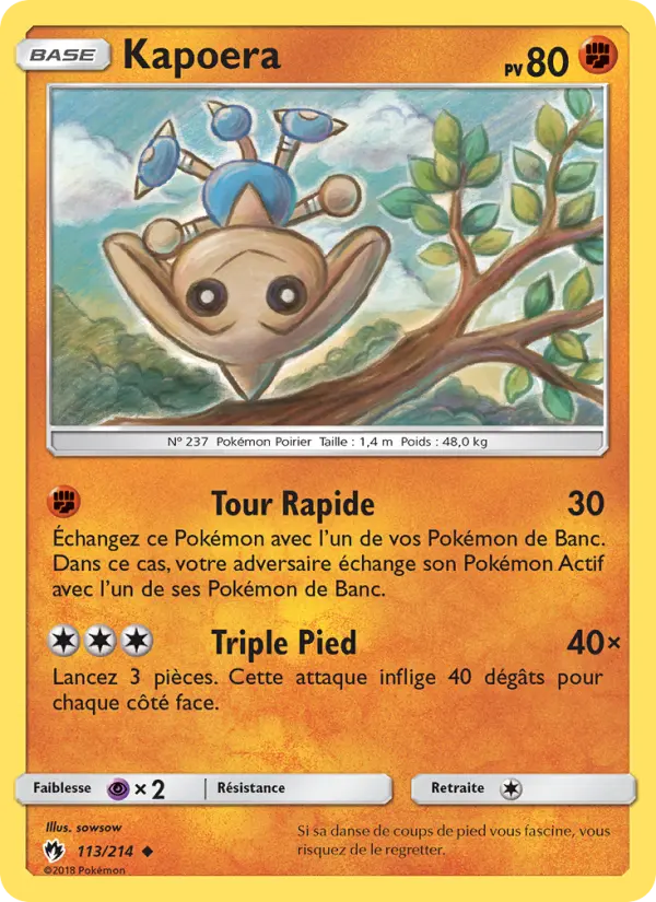 Scan HD carte Pokémon Kapoera 113/214 — Tonnerre Perdu