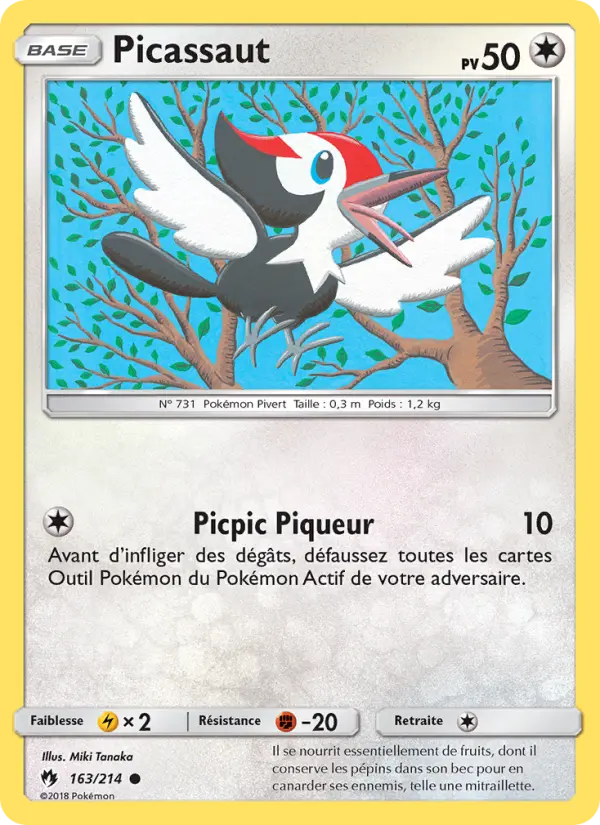Scan HD carte Pokémon Picassaut 163/214 — Tonnerre Perdu