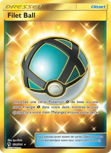 Carte Pokemon Filet Ball 234/214 Tonnerre Perdu
