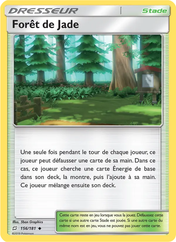 Scan HD carte Pokémon Forêt de Jade 156/181 — Duo de Choc