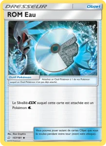 Carte Pokemon ROM Eau 157/181 Duo de Choc