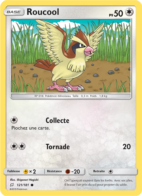 Scan HD carte Pokémon Roucool 121/181 — Duo de Choc