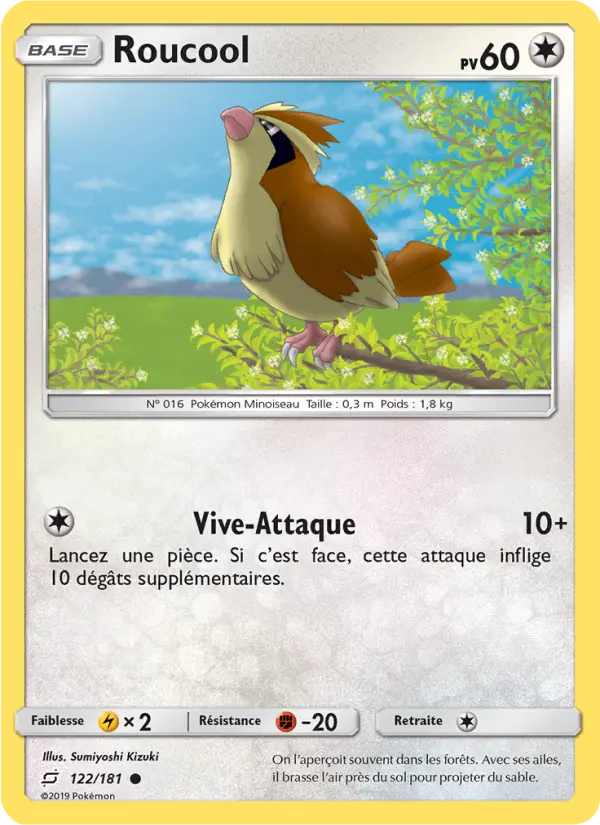 Scan HD carte Pokémon Roucool 122/181 — Duo de Choc