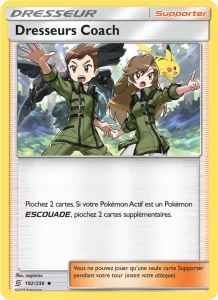 Carte Pokemon Dresseurs Coach 192/236 Harmonie des Esprits