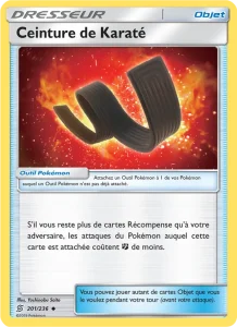 Carte Pokemon Ceinture de Karaté 201/236 Harmonie des Esprits