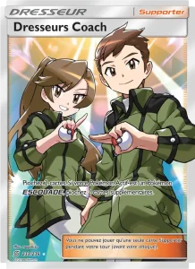 Carte Pokemon Dresseurs Coach 233/236 Harmonie des Esprits