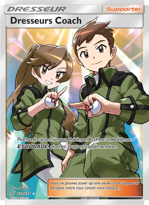 Scan HD carte Pokémon Dresseurs Coach 233/236 — Harmonie des Esprits