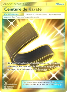 Carte Pokemon Ceinture de Karaté 252/236 Harmonie des Esprits