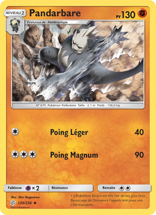 Scan HD carte Pokémon Pandarbare 120/236 — Éclipse Cosmique