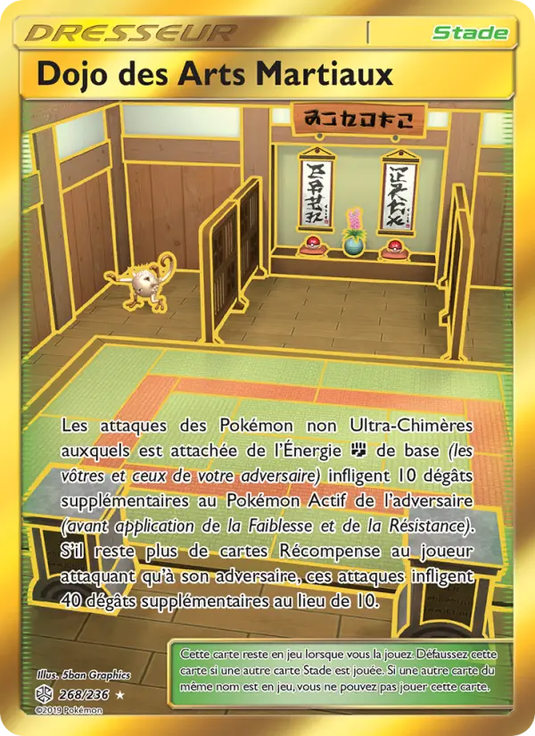 Scan HD carte Pokémon Dojo des Arts Martiaux 268/236 — Éclipse Cosmique