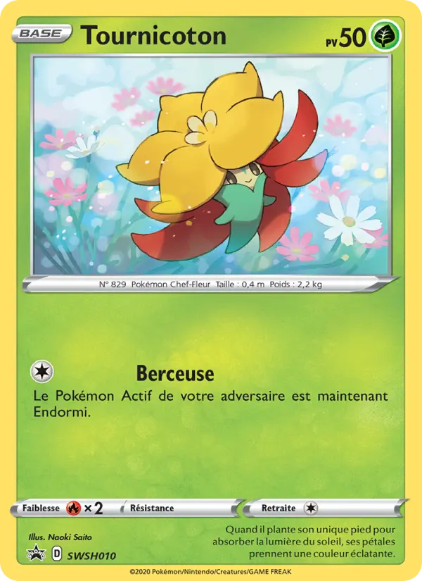 Scan HD carte Pokémon Tournicoton SWSH010/107 — Promo SWSH