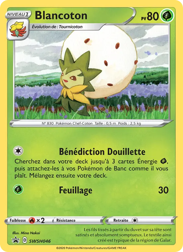 Scan HD carte Pokémon Blancoton SWSH046/107 — Promo SWSH