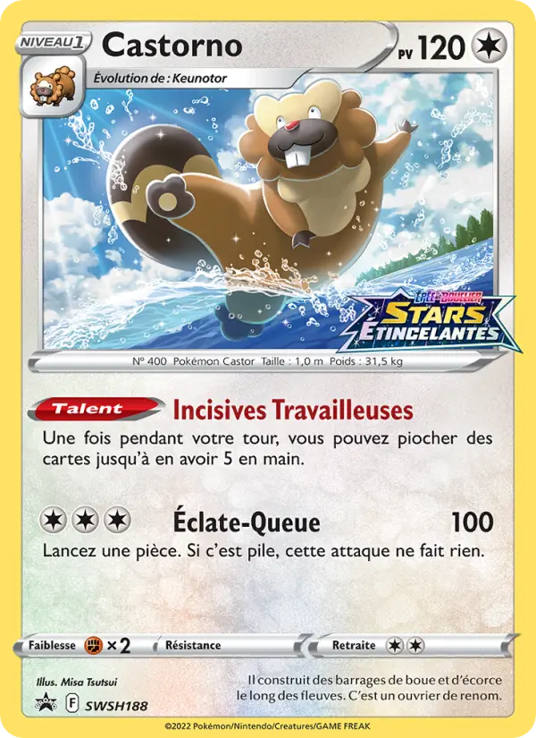 Scan HD carte Pokémon Castorno SWSH188/107 — Promo SWSH