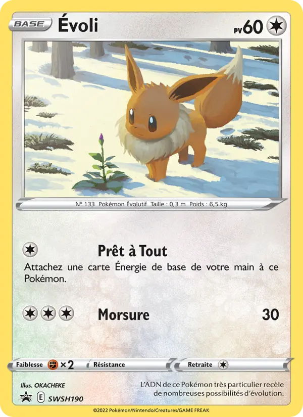 Scan HD carte Pokémon Évoli SWSH190/107 — Promo SWSH