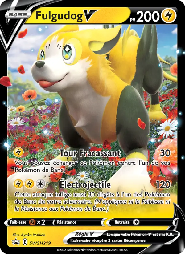 Scan HD carte Pokémon Fulgudog V SWSH219/107 — Promo SWSH