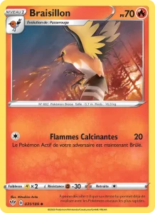 Braisillon 31 — Ténèbres Embrasées