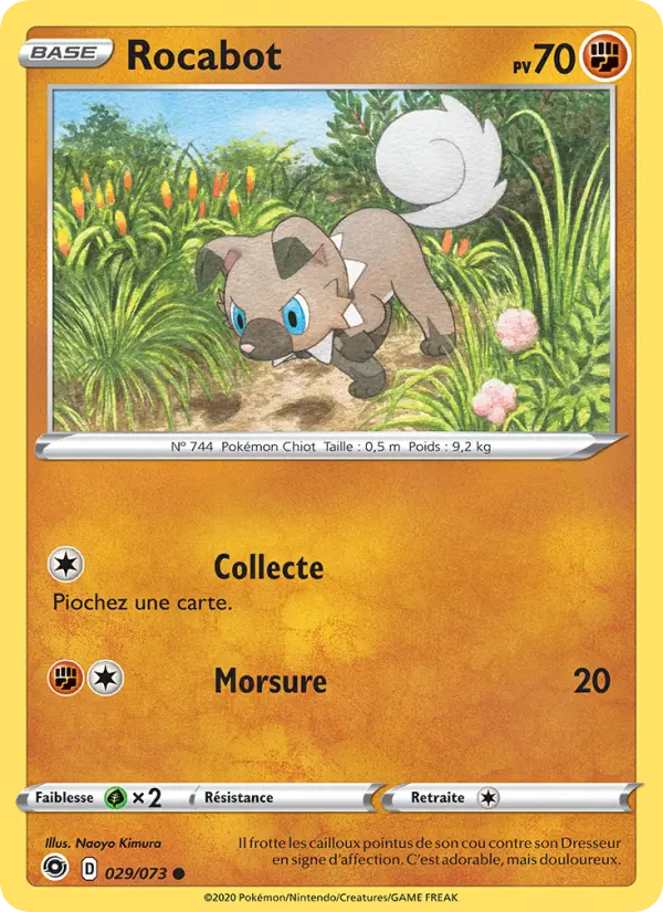 Scan HD carte Pokémon Rocabot 29/73 — La Voie du Maître