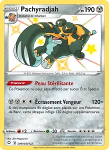 Pachyradjah SV091 — Destinées Radieuses