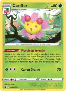 Ceriflor 8 — Styles de combat