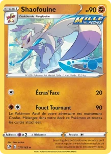 Shaofouine 77 — Styles de combat