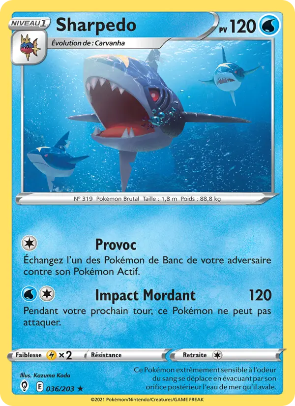 Scan HD carte Pokémon Sharpedo 36/203 — Évolution Céleste