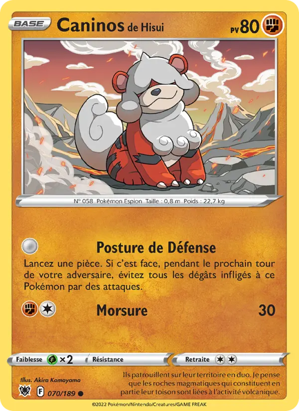 Scan HD carte Pokémon Caninos de Hisui 070/189 — Astres Radieux