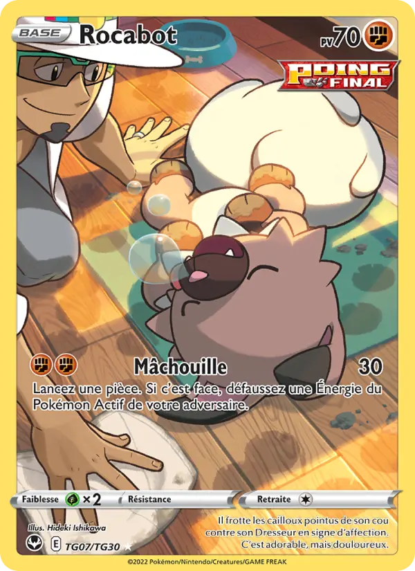 Scan HD carte Pokémon Rocabot TG07/195 — Tempête Argentée