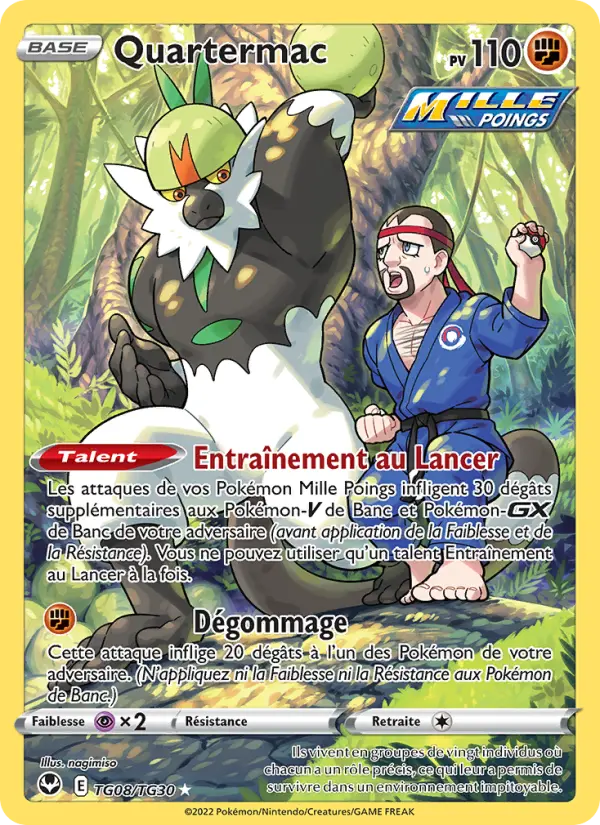 Scan HD carte Pokémon Quartermac TG08/195 — Tempête Argentée