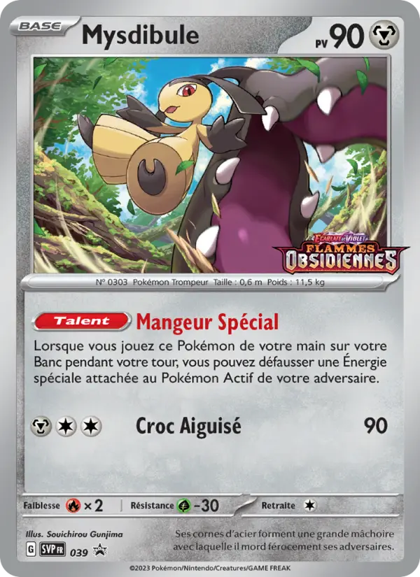 Scan HD carte Pokémon Mysdibule 039/225 — SVP Black Star Promos