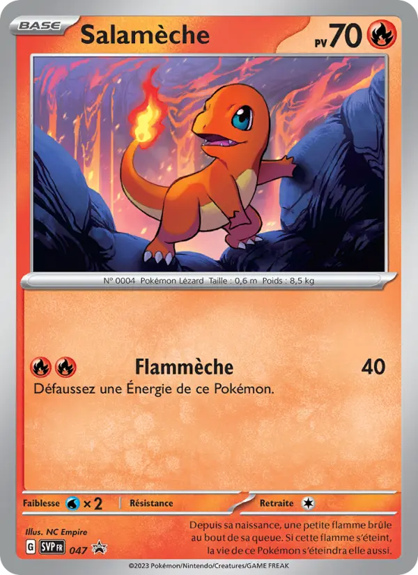 Scan HD carte Pokémon Salamèche 047/225 — SVP Black Star Promos
