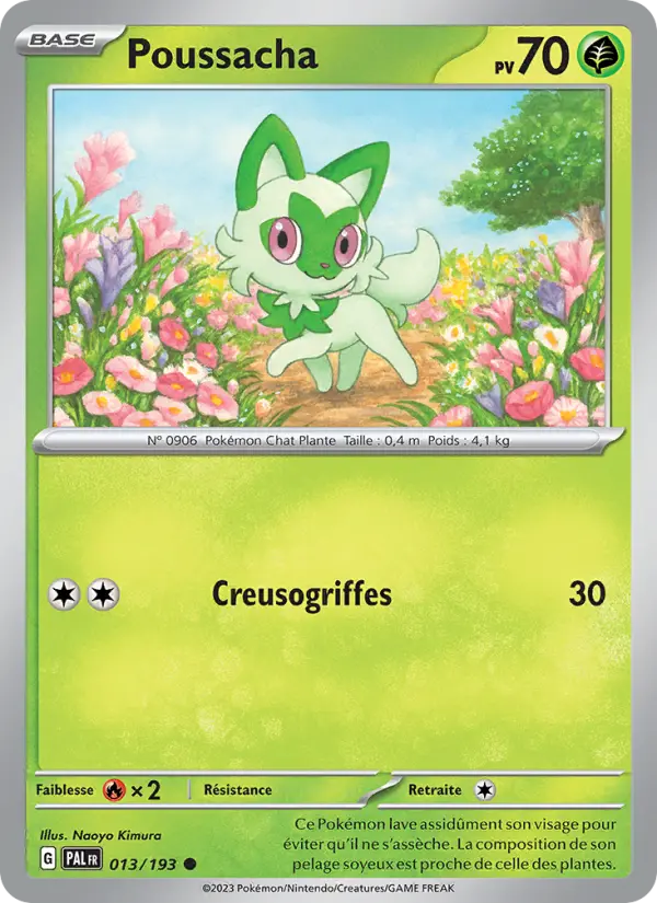 Scan HD carte Pokémon Poussacha 013/193 — Évolutions à Paldea