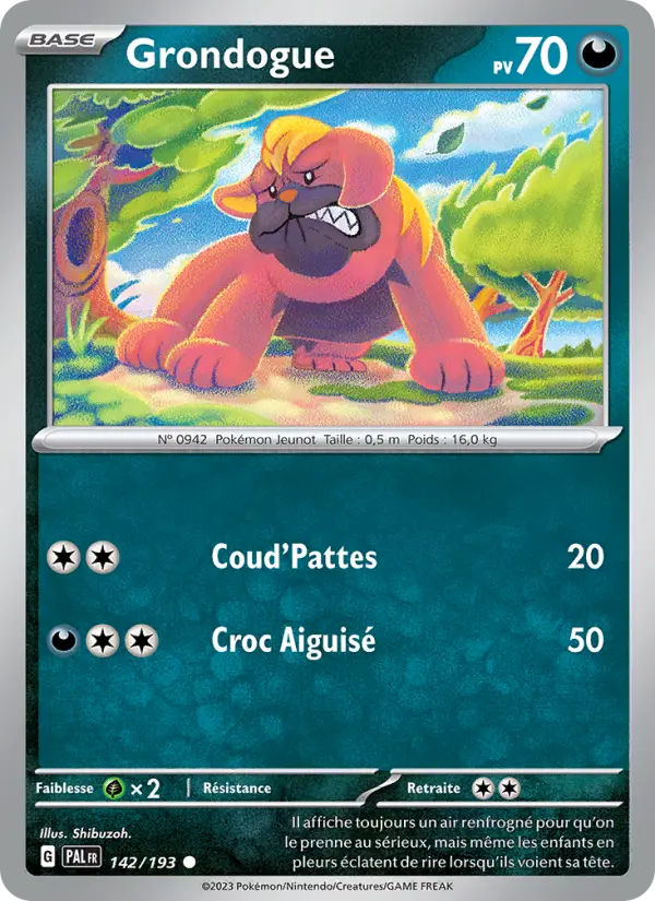 Scan HD carte Pokémon Grondogue 142/193 — Évolutions à Paldea