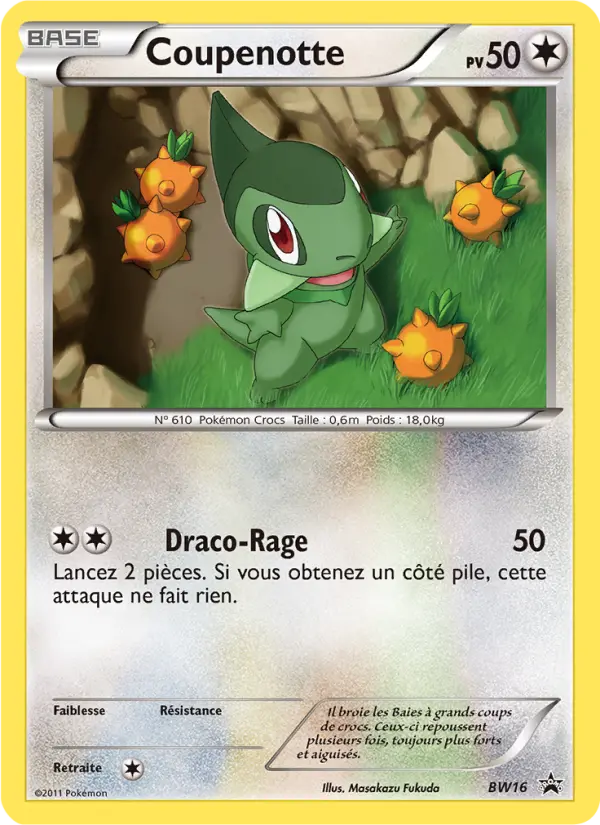 Scan HD carte Pokémon Coupenotte BW16/101 — Promo BW