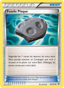 Fossile Plaque 90 — Nobles Victoires