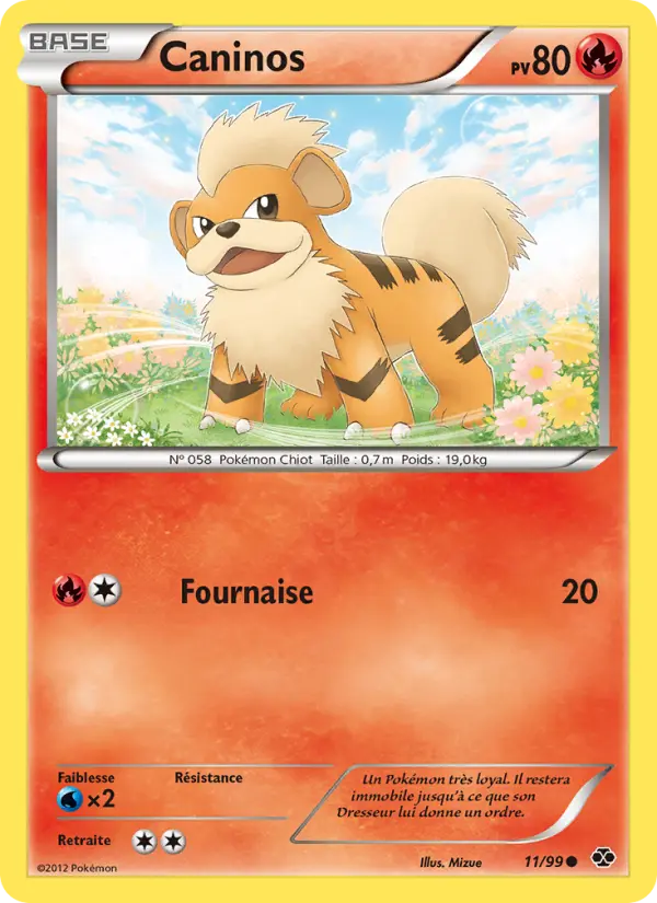 Scan HD carte Pokémon Caninos 11/99 — Destinées Futures