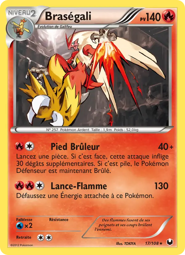 Scan HD carte Pokémon Braségali 17/108 — Explorateurs Obscurs
