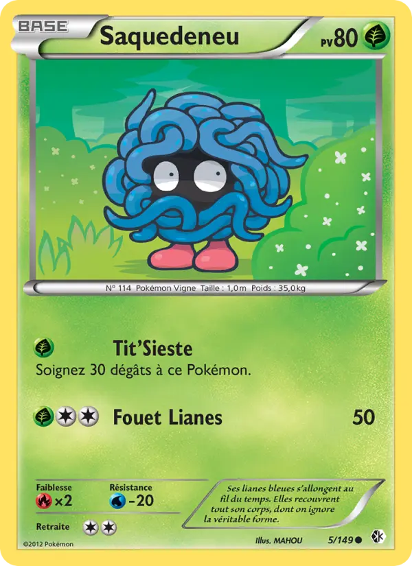 Scan HD carte Pokémon Saquedeneu 5/149 — Frontières Franchies