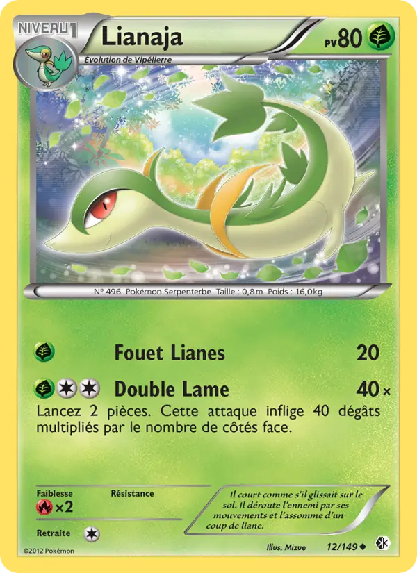 Scan HD carte Pokémon Lianaja 12/149 — Frontières Franchies