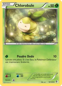 Chlorobule 16 — Frontières Franchies