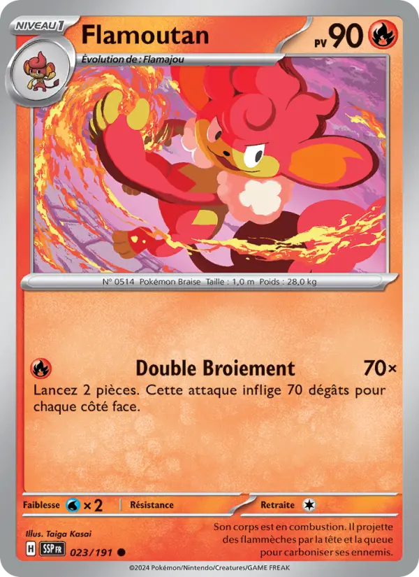 Scan HD carte Pokémon Flamoutan 023/191 — Étincelles Déferlantes
