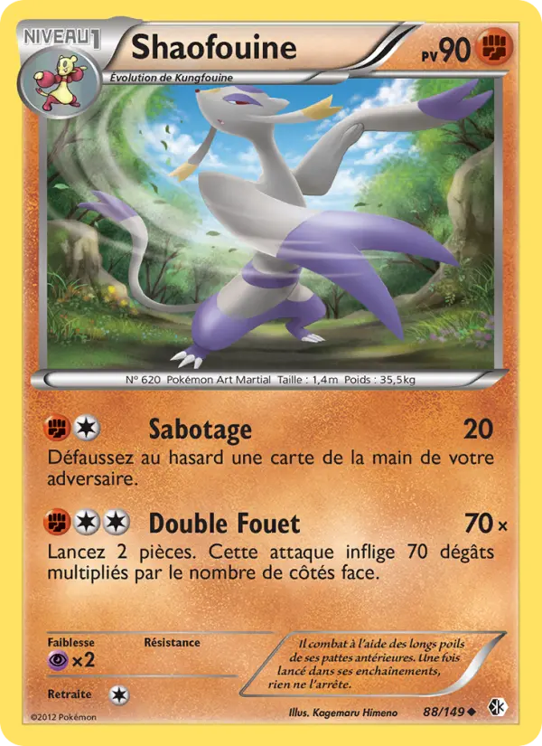 Scan HD carte Pokémon Shaofouine 88/149 — Frontières Franchies