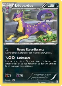 Léopardus 91 — Frontières Franchies
