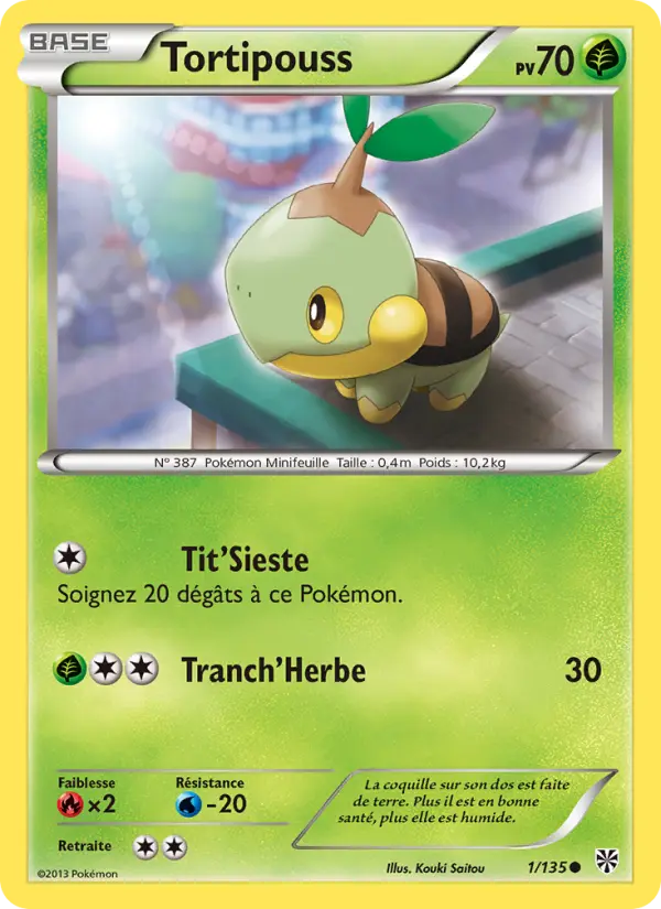 Scan HD carte Pokémon Tortipouss 1/135 — Tempète Plasma