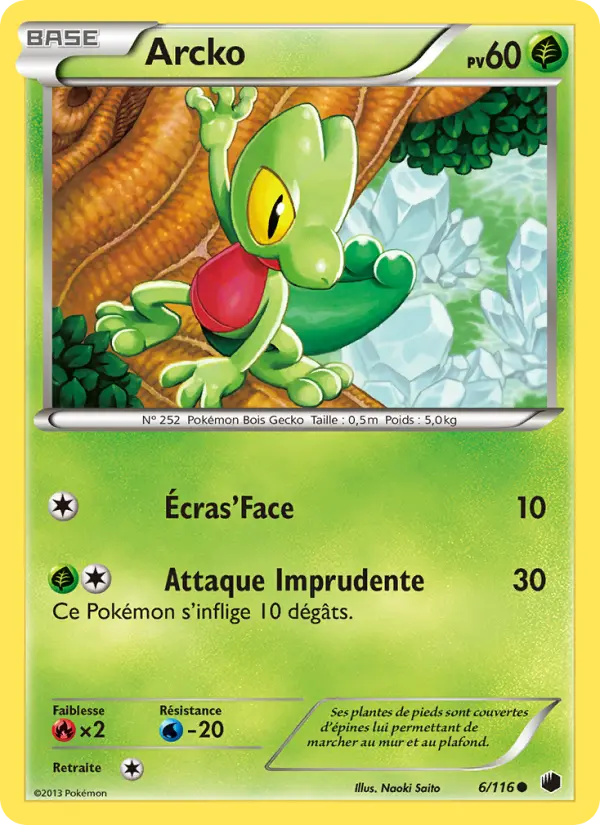 Scan HD carte Pokémon Arcko 6/116 — Glaciation Plasma