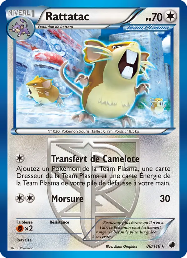 Scan HD carte Pokémon Rattatac 88/116 — Glaciation Plasma