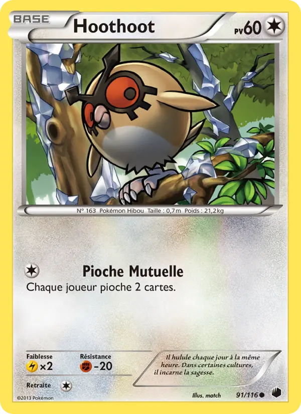 Scan HD carte Pokémon Hoothoot 91/116 — Glaciation Plasma