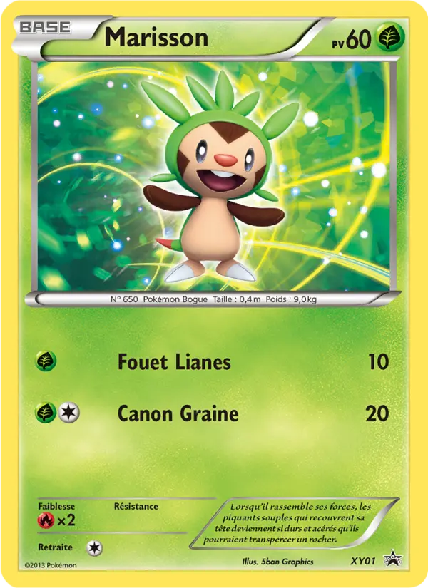 Scan HD carte Pokémon Marisson XY01/211 — Promo XY