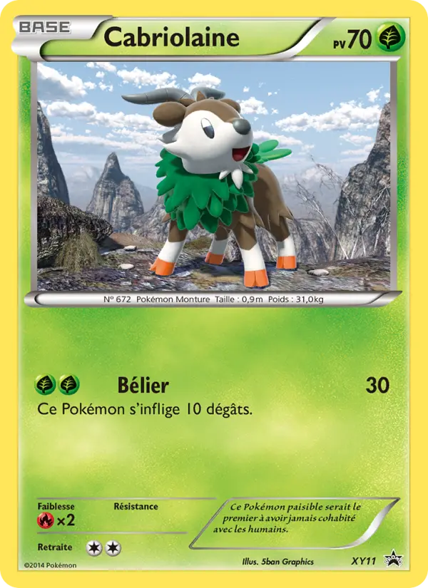 Scan HD carte Pokémon Cabriolaine XY11/211 — Promo XY