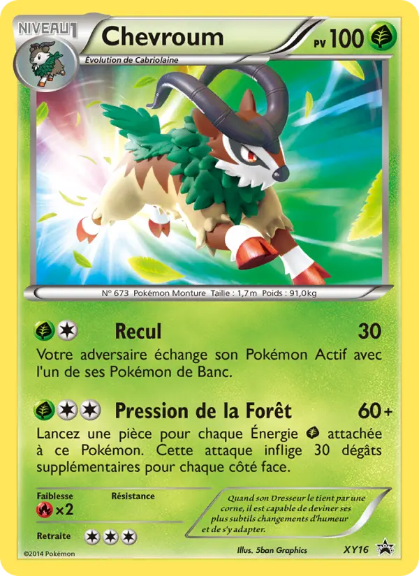 Scan HD carte Pokémon Chevroum XY16/211 — Promo XY